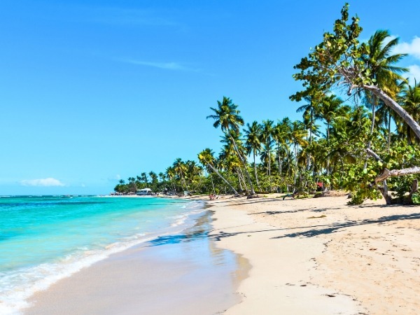 A Beach in the Samana Peninsula