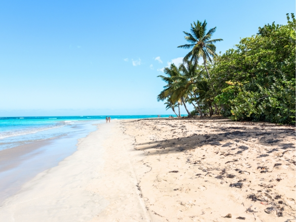 Beach in the Samana Peninsula