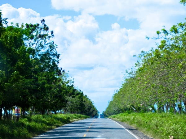 Rural Road in the Dominican Republic